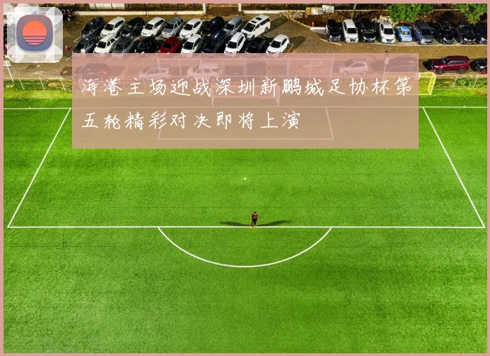 海港主场迎战深圳新鹏城足协杯第五轮精彩对决即将上演